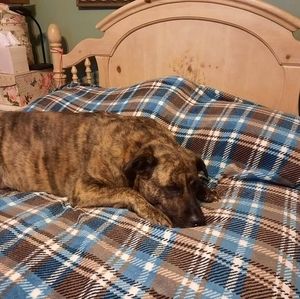 Meet your Posher, Doris